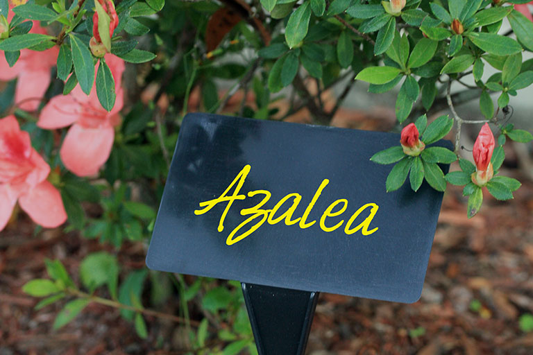 Nursery & Garden T-Signs